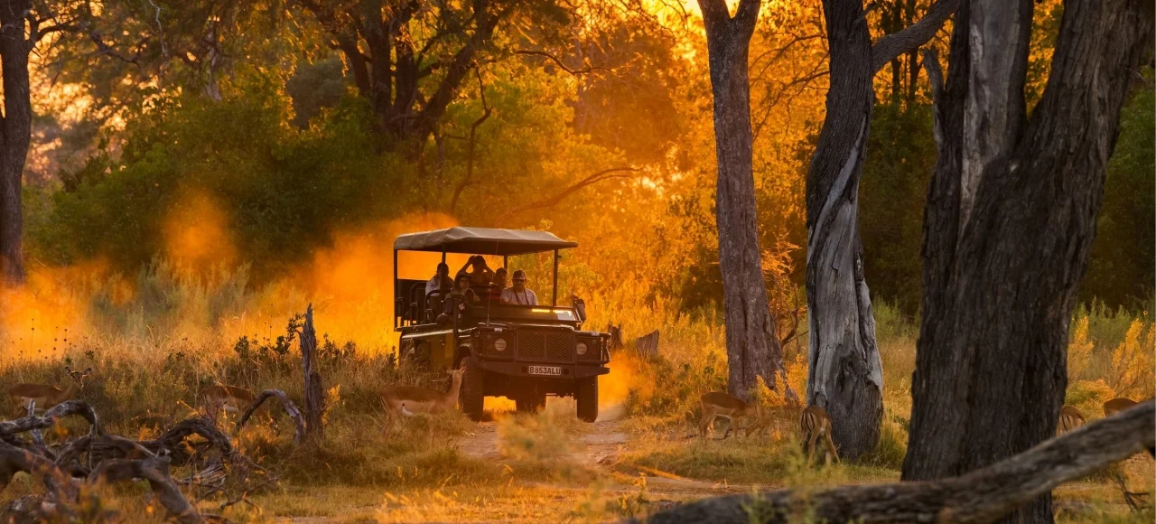 most luxurious safari lodges in botswana